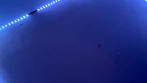 Freakymaa online show from June 11, 2026, 4:54 am