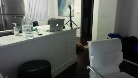 Snapshot of freesoulmovement chatting on January 16, 2025, 6:03 am jasmineandaladin69 online show from January 16, 2025, 6:03 am