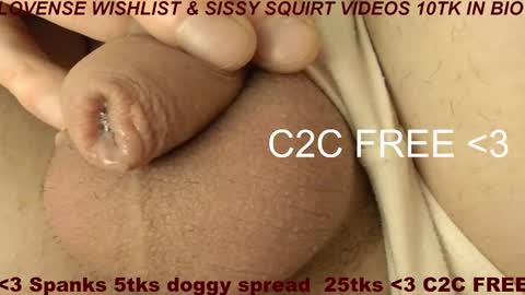 Meadow online show from February 9, 2026, 9:24 am