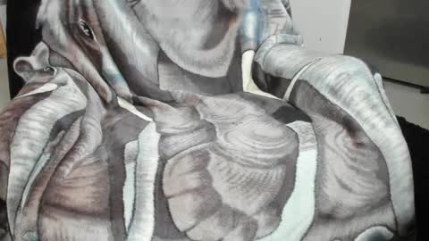 Snapshot of froy4989 chatting on January 18, 2025, 9:02 pm Froy4989 online show from January 18, 2025, 9:02 pm