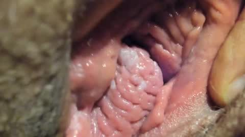 FrumCake online show from January 4, 2025, 1:10 am