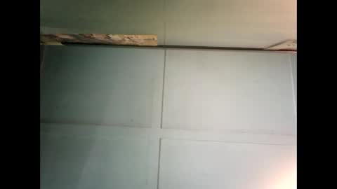 Warwick online show from December 6, 2024, 12:02 am