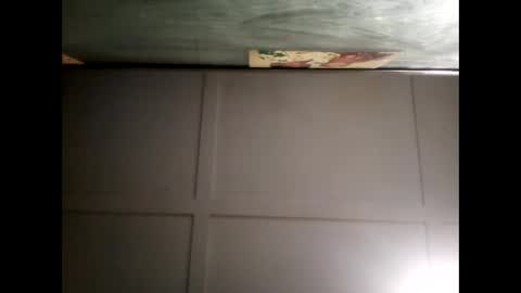 Warwick online show from December 8, 2024, 8:30 am