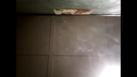 Warwick online show from December 9, 2024, 8:55 am