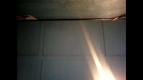 Warwick online show from December 9, 2024, 11:24 pm