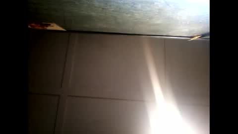 Warwick online show from December 10, 2024, 7:37 am