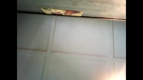 Warwick online show from December 12, 2024, 1:10 am