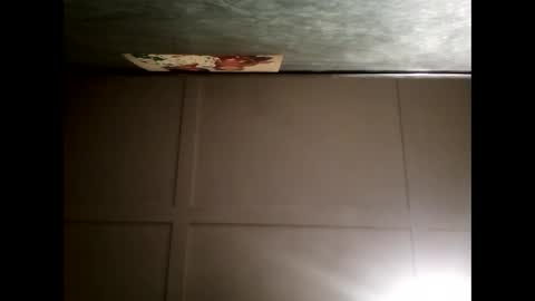 Warwick online show from December 12, 2024, 11:18 am