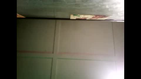 Warwick online show from December 16, 2024, 8:31 am