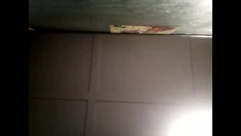 Warwick online show from December 17, 2024, 8:23 am