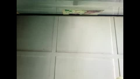 Warwick online show from December 19, 2024, 2:56 am