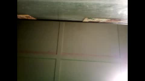 Warwick online show from December 24, 2024, 12:00 pm