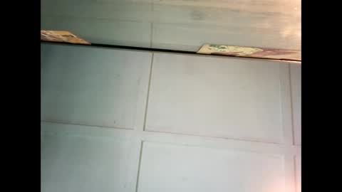 Warwick online show from December 27, 2024, 11:42 pm