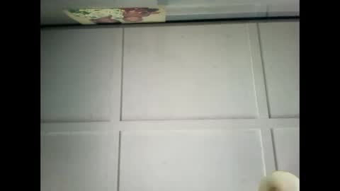 Warwick online show from December 29, 2024, 2:38 am