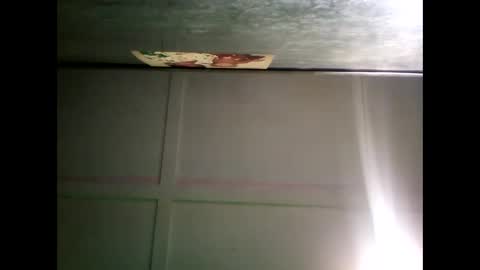 Warwick online show from December 31, 2024, 12:46 pm