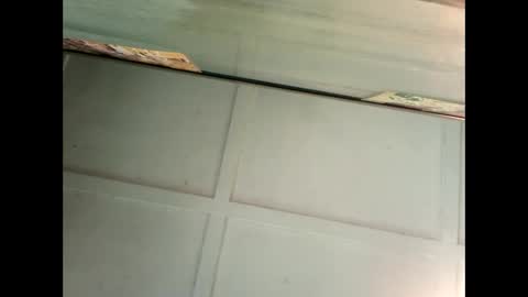 Warwick online show from January 4, 2025, 4:01 am