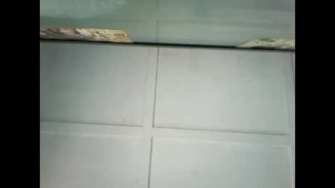 Warwick online show from January 9, 2025, 10:09 pm