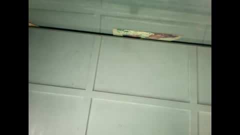 Warwick online show from January 18, 2025, 11:55 pm