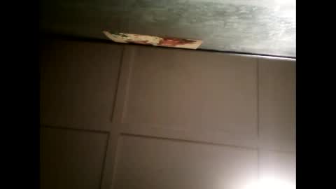 Warwick online show from January 30, 2025, 11:01 am