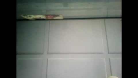 Warwick online show from February 1, 2025, 7:15 am