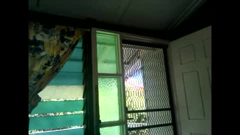 Warwick online show from February 17, 2025, 3:25 am