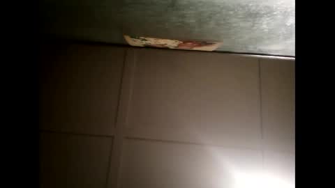 Warwick online show from February 20, 2025, 11:20 am