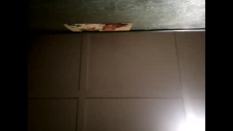 Warwick online show from February 28, 2025, 1:03 pm