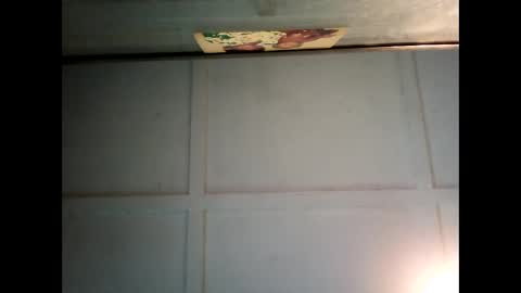 Warwick online show from March 3, 2025, 6:37 am