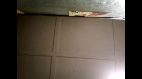 Warwick online show from March 3, 2025, 11:22 am