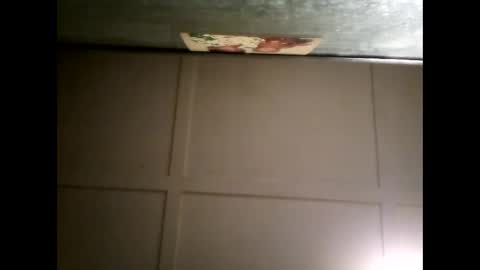 Warwick online show from March 4, 2025, 10:35 am