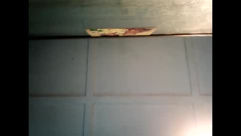 Warwick online show from March 10, 2025, 1:34 am