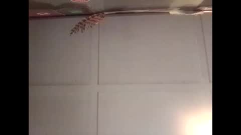 Warwick online show from October 30, 2025, 11:16 pm