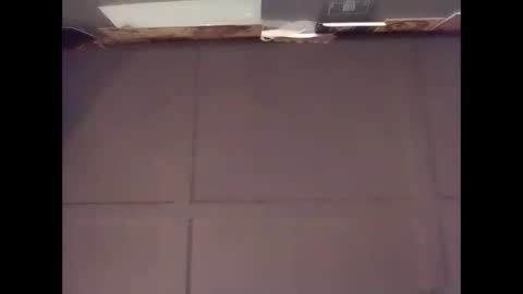 Warwick online show from November 9, 2025, 7:28 am