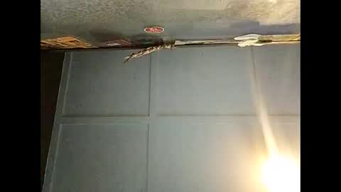 Warwick online show from December 1, 2025, 6:51 am