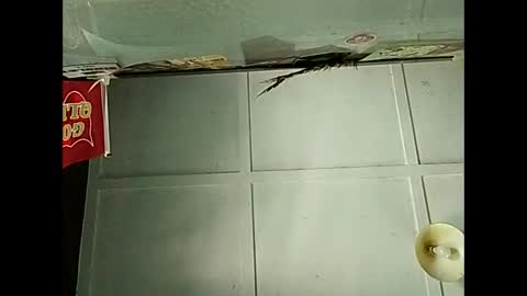 Warwick online show from December 3, 2025, 2:41 am