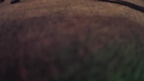 fumymo online show from January 7, 2026, 8:22 pm