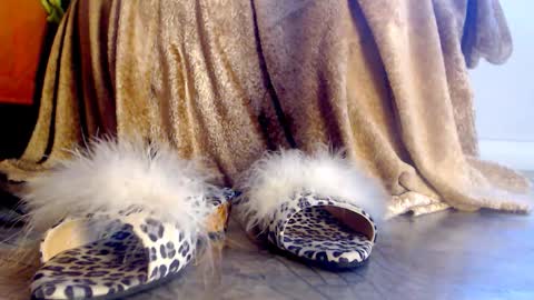 Snapshot of fun4tips chatting on February 26, 2026, 6:45 am Fun4Tips online show from February 26, 2026, 6:45 am