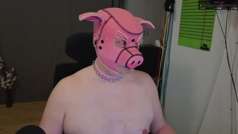 Piggy online show from May 16, 2026, 9:13 pm