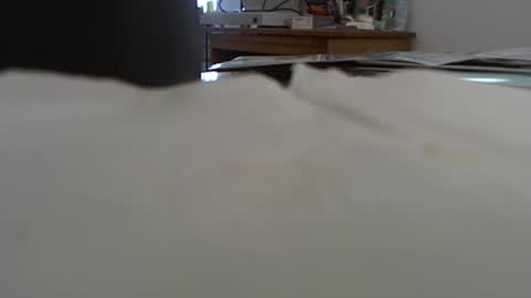 Snapshot of funone8848 chatting on January 13, 2025, 8:04 pm funone8848 online show from January 13, 2025, 8:04 pm