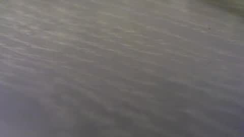 Snapshot of funone8848 chatting on September 24, 2025, 1:42 am funone8848 online show from September 24, 2025, 1:42 am