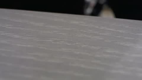 Snapshot of funone8848 chatting on March 12, 2026, 1:56 am funone8848 online show from March 12, 2026, 1:56 am