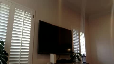 Snapshot of funtimes4us32 chatting on December 12, 2024, 4:32 pm Funtimes4us32 online show from December 12, 2024, 4:32 pm