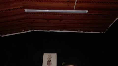 Snapshot of fyreandfox_ chatting on November 18, 2025, 6:56 pm FIRE AND FOX online show from November 18, 2025, 6:56 pm