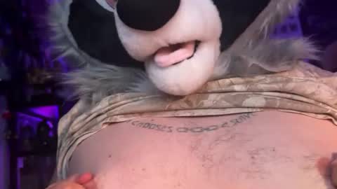 Zaboo Raccoon online show from June 20, 2026, 6:27 am