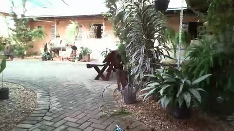 gaby  layla online show from January 31, 2025, 8:22 pm