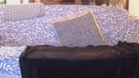 Snapshot of garybaker60 chatting on January 1, 2025, 8:47 pm Gaz online show from January 1, 2025, 8:47 pm