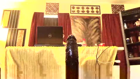 Snapshot of gatewaylaptop2019 chatting on March 2, 2025, 3:37 pm gatewaylaptop2019 online show from March 2, 2025, 3:37 pm