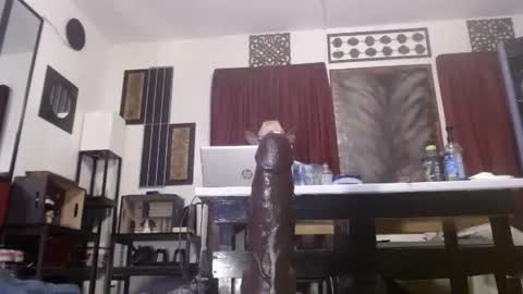 gatewaylaptop2019 online show from April 12, 2026, 6:07 am