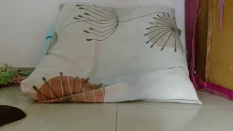 gatito02139159 online show from December 2, 2025, 9:54 pm