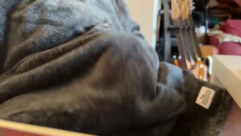 Snapshot of geezerblokeii chatting on December 2, 2024, 9:13 am geezerblokeii online show from December 2, 2024, 9:13 am